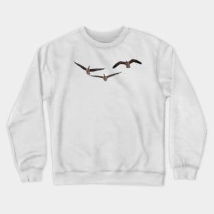 Three Geese Crewneck Sweatshirt